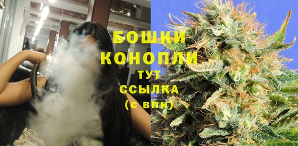 ГАЛЛЮЦИНОГЕННЫЕ ГРИБЫ Няндома