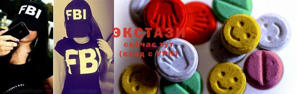 ECSTASY Богородицк