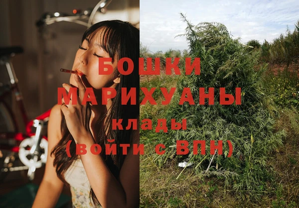 шишки Валуйки