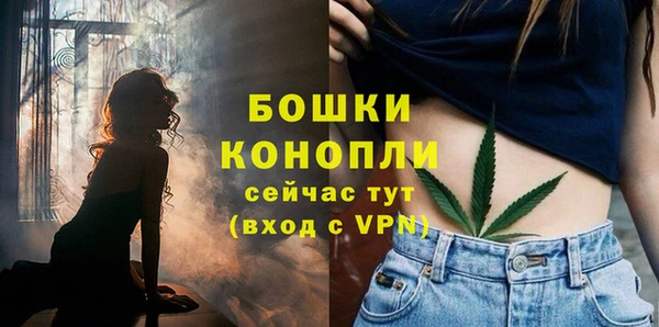 молекула духа Осташков