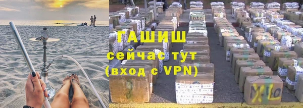 молекула духа Осташков