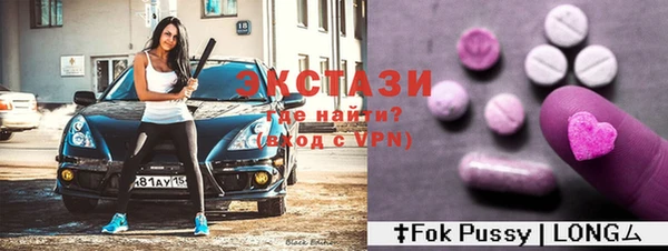 ECSTASY Богородицк