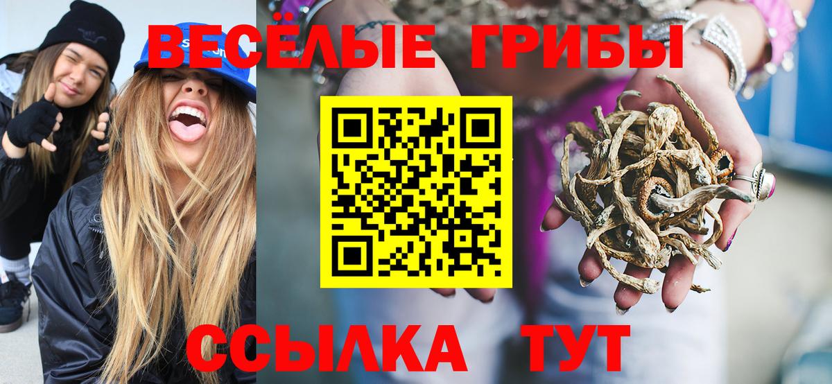 Псилоцибиновые грибы Psilocybe  Новокузнецк  Галлюциногенные грибы Psilocybine cubensis 