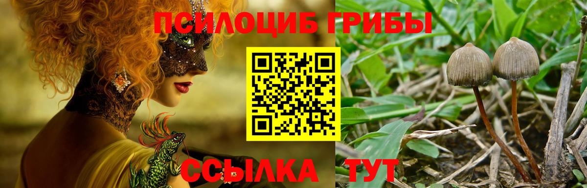 Галлюциногенные грибы MAGIC MUSHROOMS  Вход с VPN  Новокузнецк 