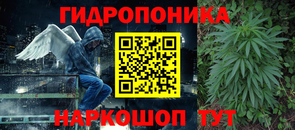 Новокузнецк  Шишки марихуана конопля  Шишки марихуана гибрид  Конопля план  Вход с VPN 
